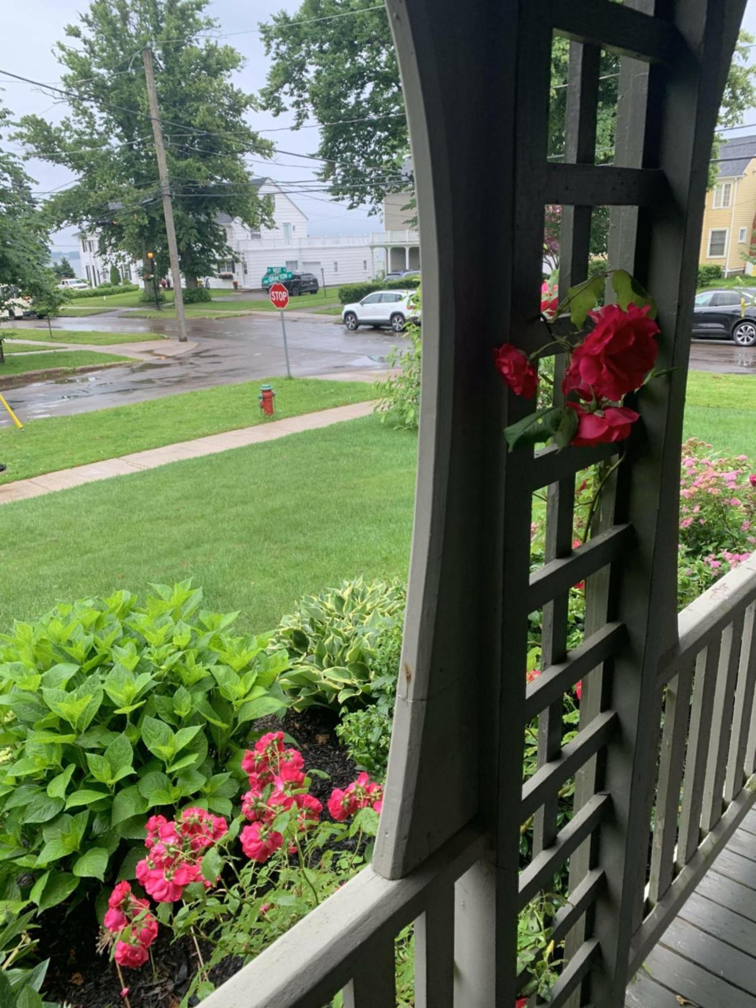 No 1 Grafton 4* Charlottetown